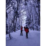 photo miniature